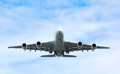 k1162543%5B1%5D.jpg